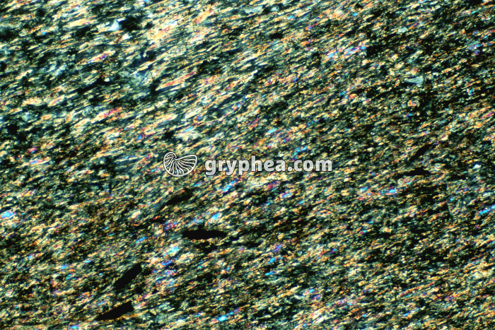 Schiste LPA x25 - gryphea.com